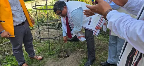 IEM GS Plantation